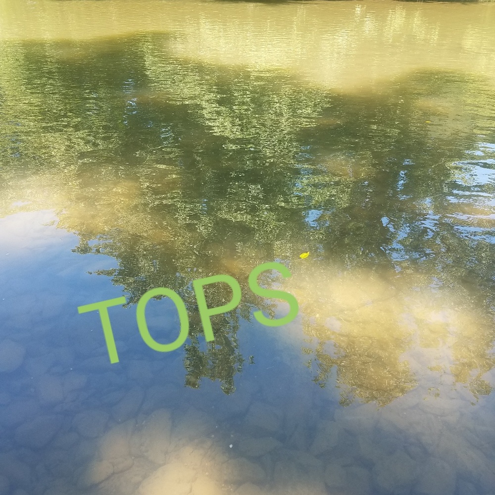 Tops - Picture 2 of 2
